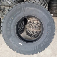 315/80R22.5 opona EVERGREEN EDM60 TL M+S POR 20PR 156/153K